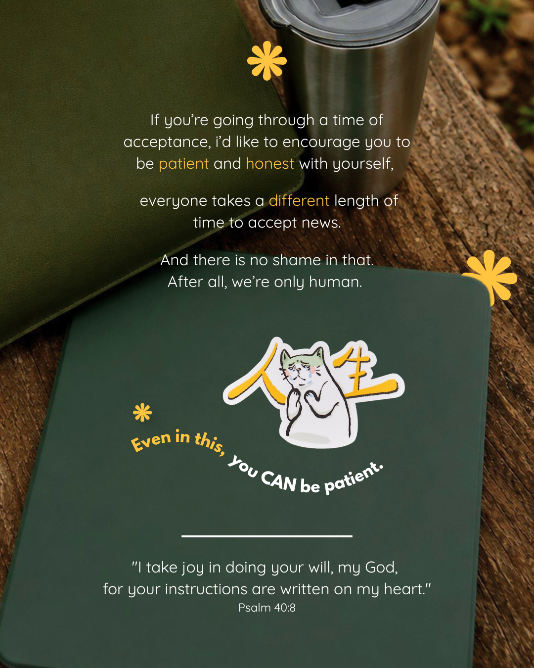 Acceptance Timo Cat Sticker